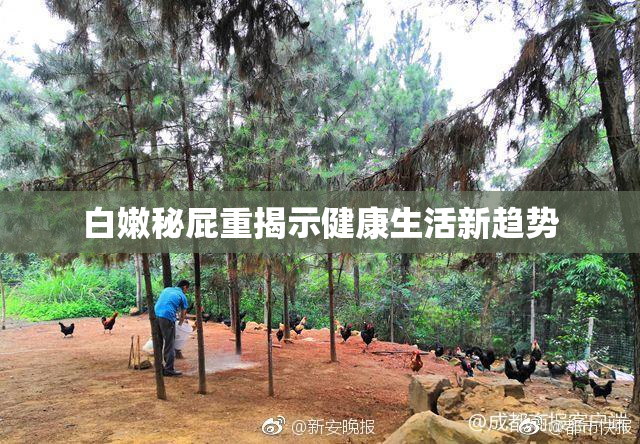 白嫩秘屁重揭示健康生活新趋势
