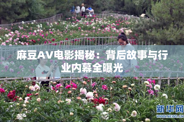 麻豆AV电影揭秘：背后故事与行业内幕全曝光