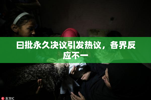 曰批永久决议引发热议，各界反应不一