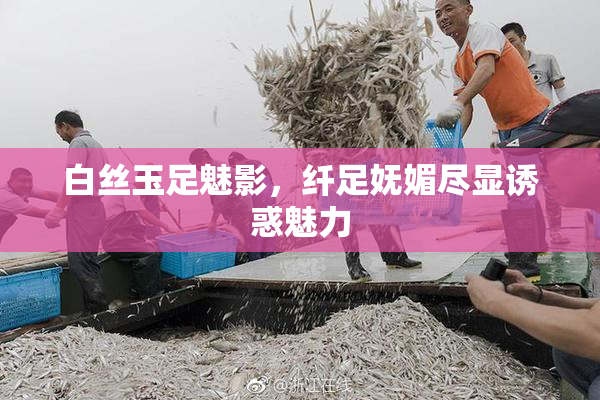 白丝玉足魅影，纤足妩媚尽显诱惑魅力
