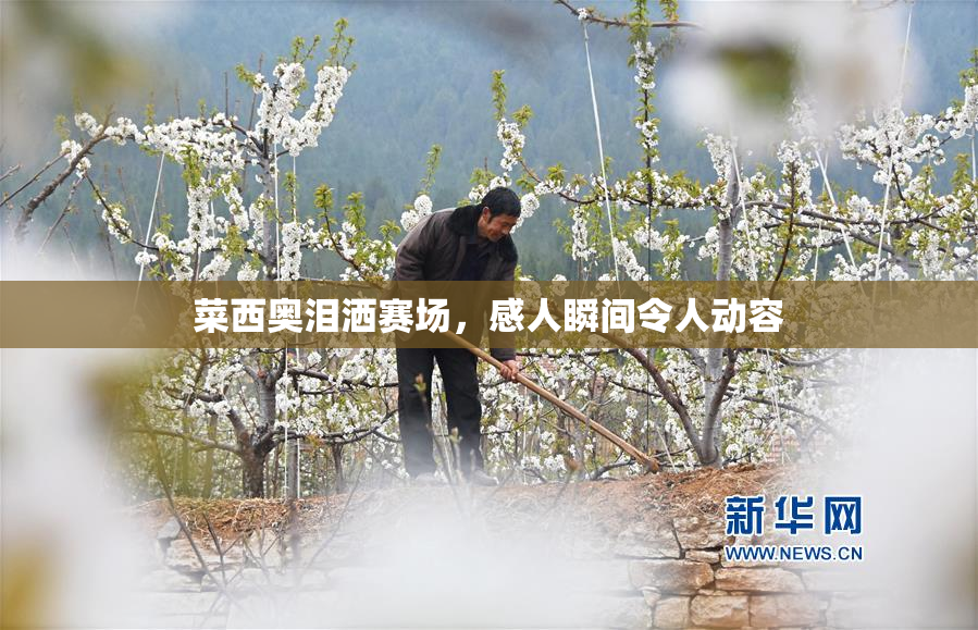 菜西奥泪洒赛场，感人瞬间令人动容