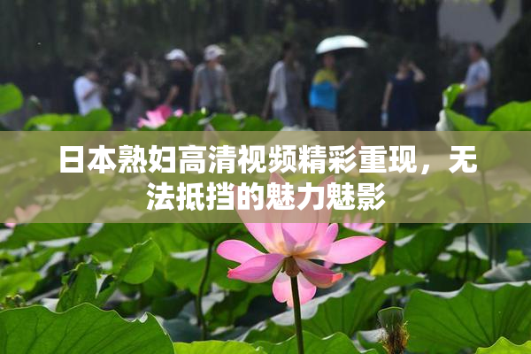日本熟妇高清视频精彩重现，无法抵挡的魅力魅影
