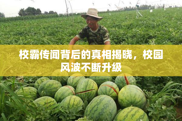校霸传闻背后的真相揭晓，校园风波不断升级