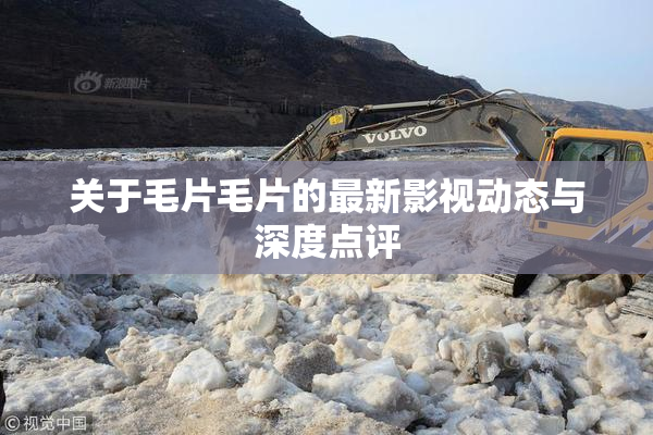 关于毛片毛片的最新影视动态与深度点评