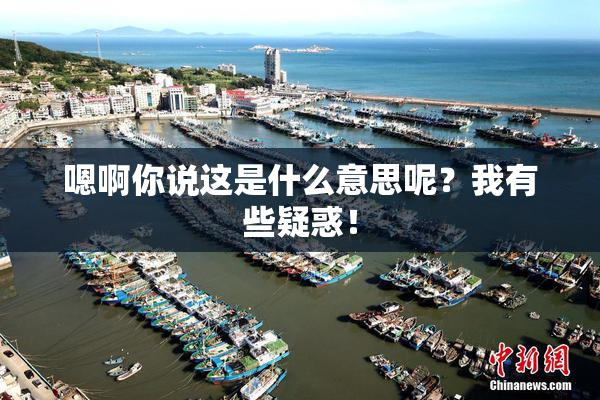 嗯啊你说这是什么意思呢？我有些疑惑！