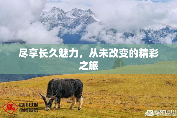 尽享长久魅力，从未改变的精彩之旅