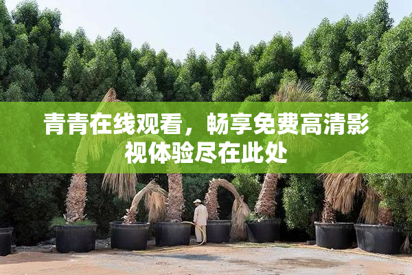 青青在线观看，畅享免费高清影视体验尽在此处