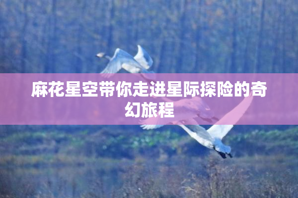 麻花星空带你走进星际探险的奇幻旅程