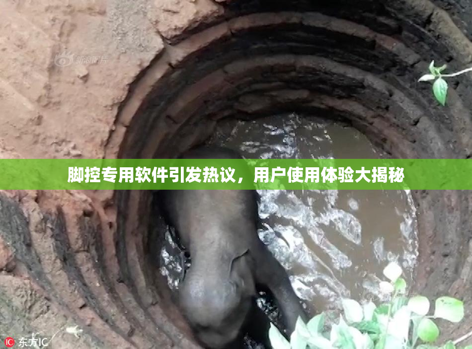 脚控专用软件引发热议，用户使用体验大揭秘