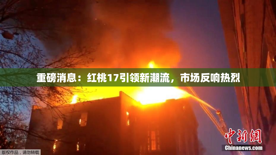 重磅消息：红桃17引领新潮流，市场反响热烈