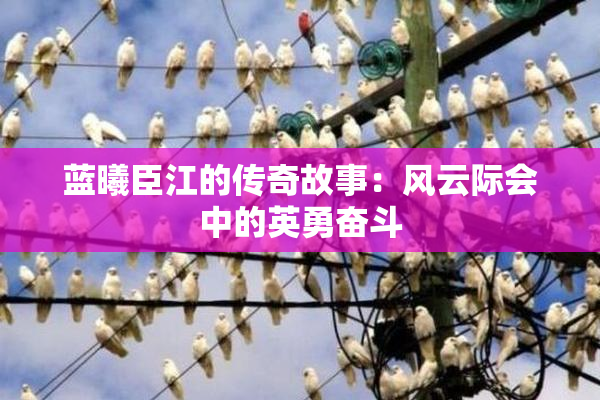 蓝曦臣江的传奇故事：风云际会中的英勇奋斗