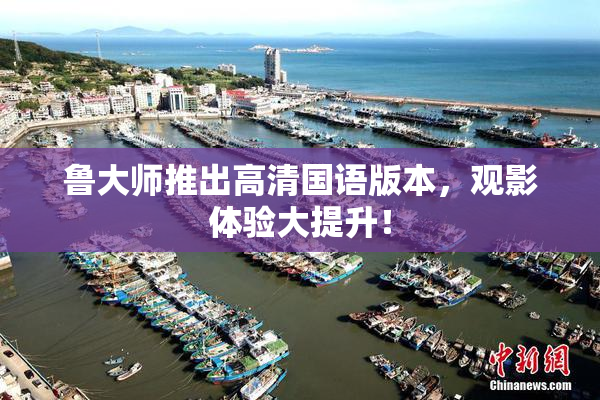 鲁大师推出高清国语版本，观影体验大提升！
