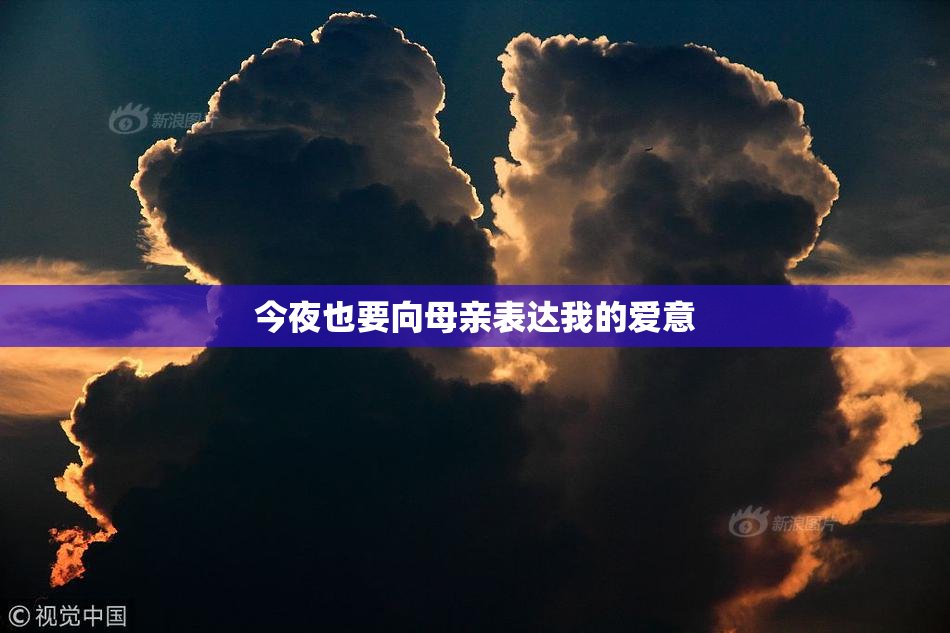 今夜也要向母亲表达我的爱意