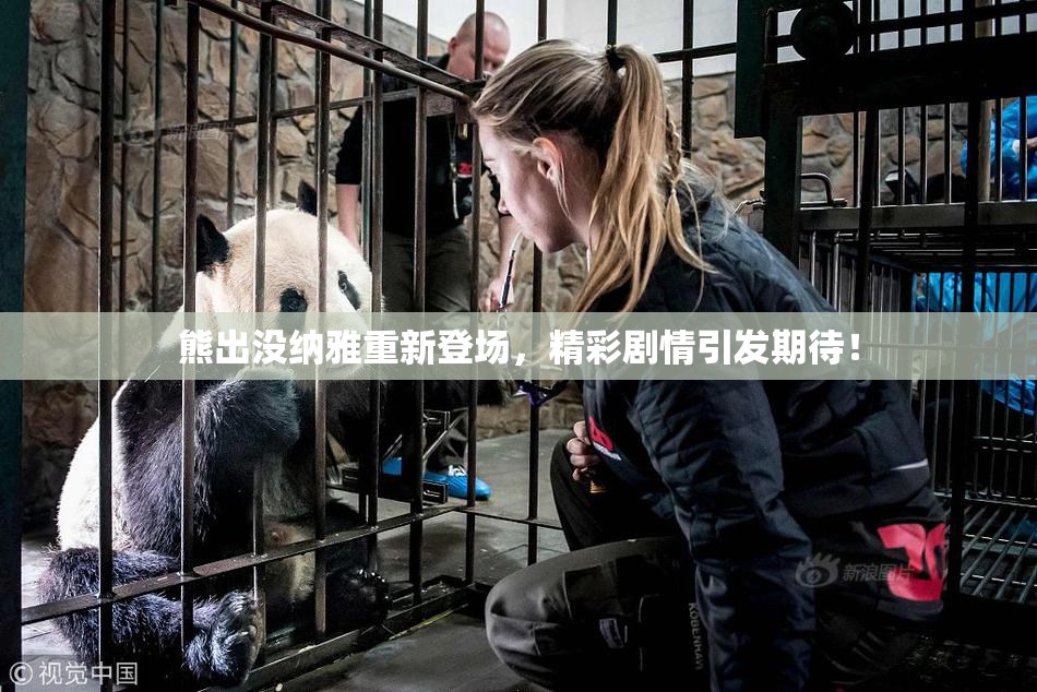 熊出没纳雅重新登场，精彩剧情引发期待！