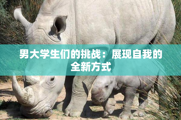 男大学生们的挑战：展现自我的全新方式