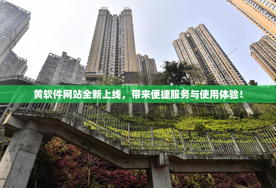 黄软件网站全新上线，带来便捷服务与使用体验！