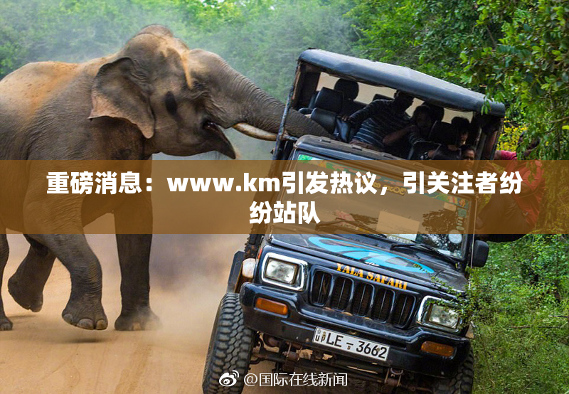 重磅消息：www.km引发热议，引关注者纷纷站队