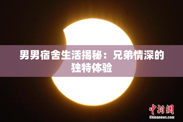 男男宿舍生活揭秘：兄弟情深的独特体验
