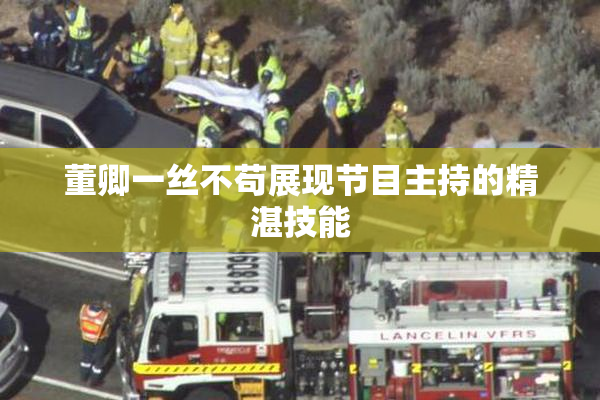 董卿一丝不苟展现节目主持的精湛技能
