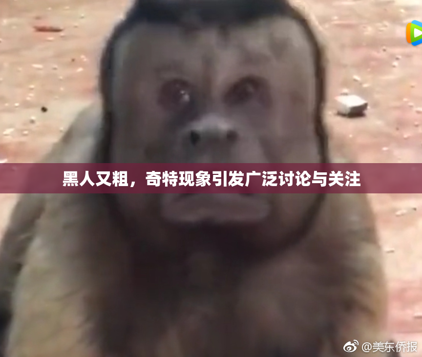 黑人又粗，奇特现象引发广泛讨论与关注