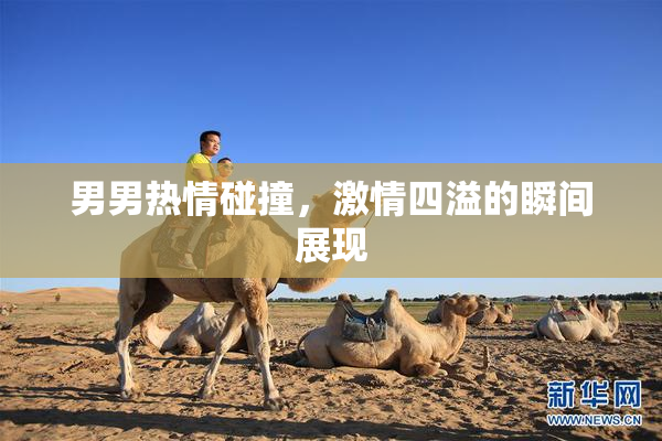 男男热情碰撞，激情四溢的瞬间展现