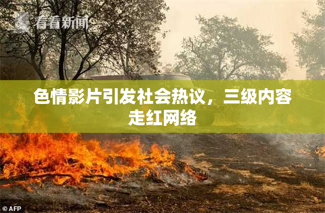 色情影片引发社会热议，三级内容走红网络