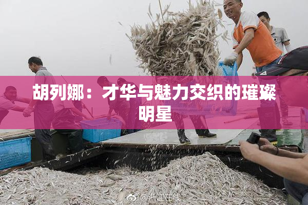 胡列娜：才华与魅力交织的璀璨明星