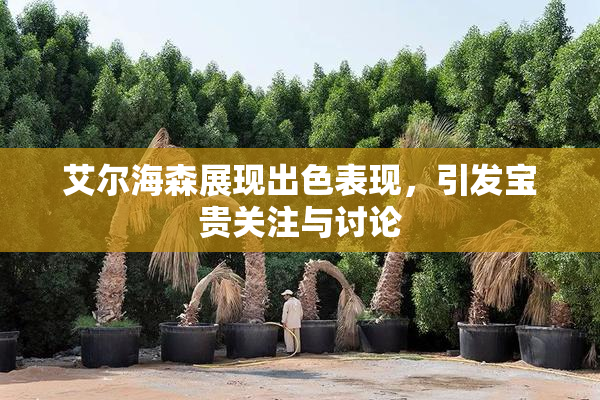 艾尔海森展现出色表现，引发宝贵关注与讨论