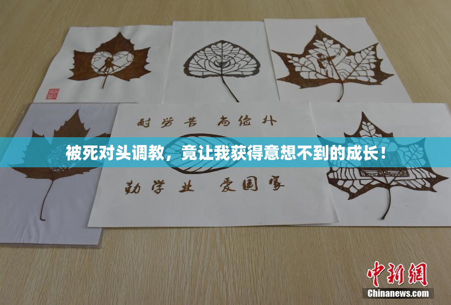 被死对头调教，竟让我获得意想不到的成长！