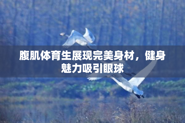 腹肌体育生展现完美身材，健身魅力吸引眼球