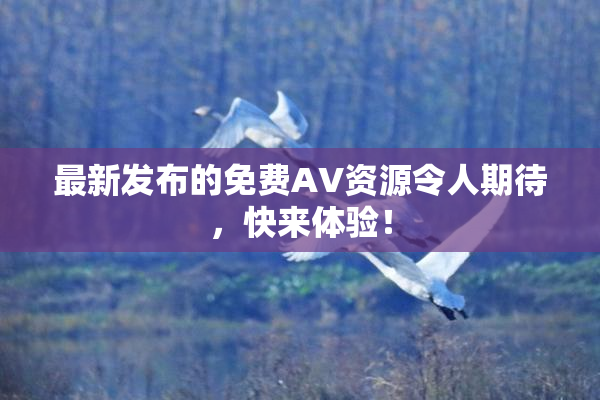最新发布的免费AV资源令人期待，快来体验！