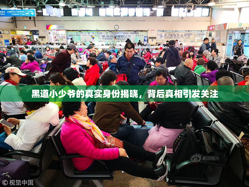 黑道小少爷的真实身份揭晓，背后真相引发关注