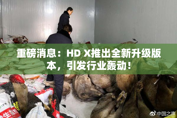 重磅消息：HD X推出全新升级版本，引发行业轰动！