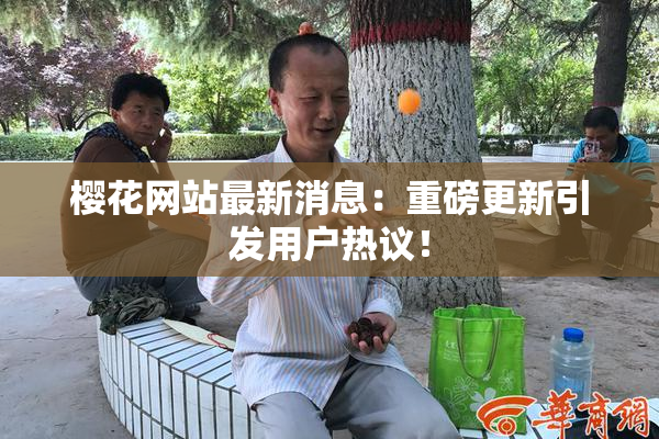 樱花网站最新消息：重磅更新引发用户热议！