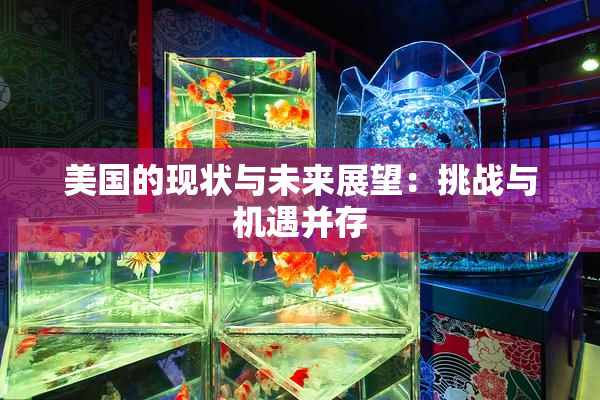 美国的现状与未来展望：挑战与机遇并存