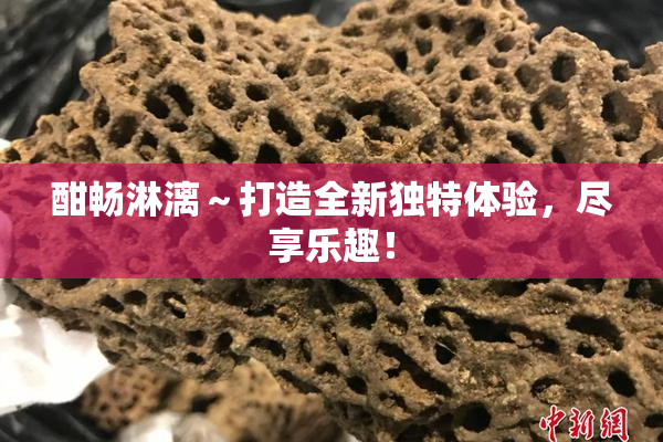酣畅淋漓～打造全新独特体验，尽享乐趣！