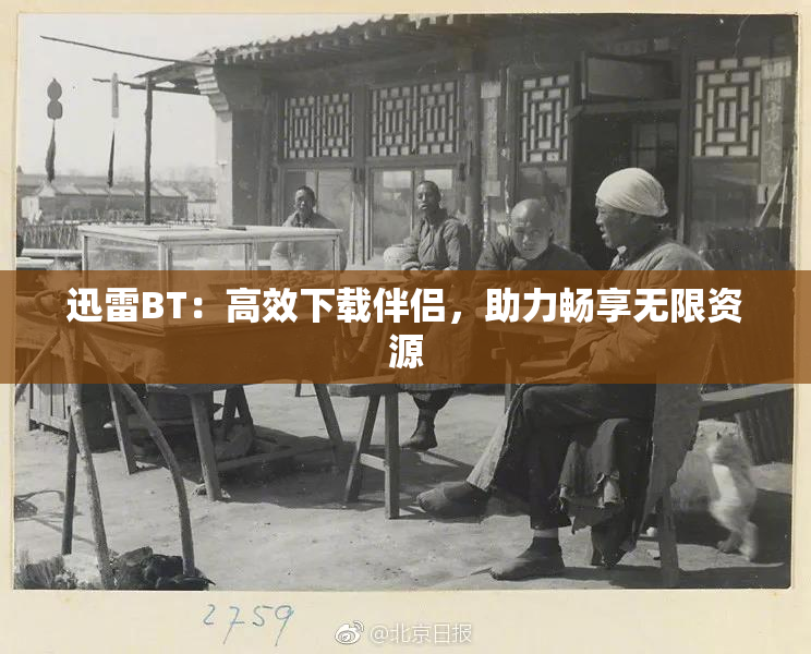 迅雷BT：高效下载伴侣，助力畅享无限资源