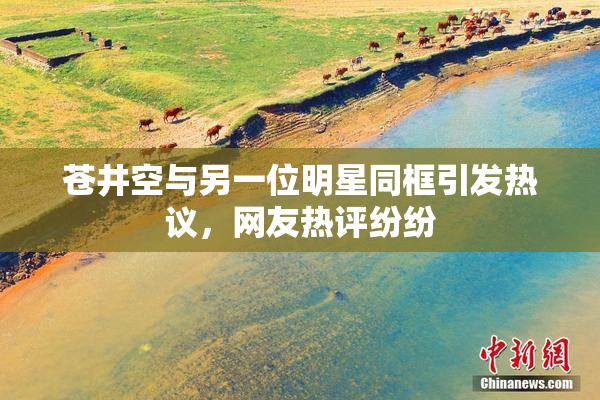 苍井空与另一位明星同框引发热议，网友热评纷纷