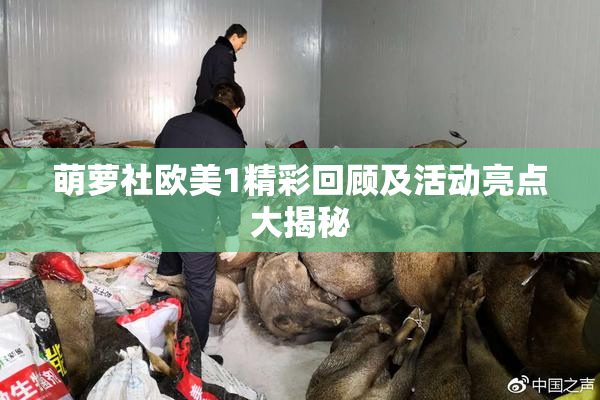萌萝社欧美1精彩回顾及活动亮点大揭秘