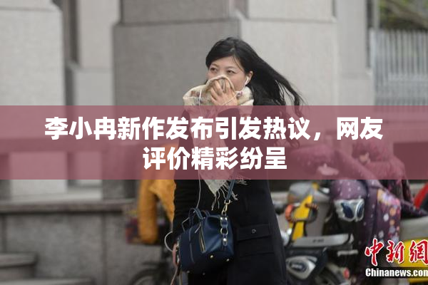 李小冉新作发布引发热议，网友评价精彩纷呈
