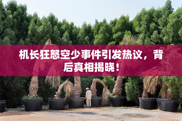 机长狂怒空少事件引发热议，背后真相揭晓！