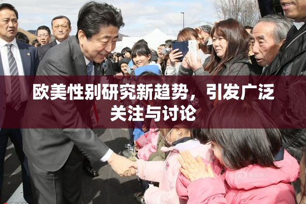 欧美性别研究新趋势，引发广泛关注与讨论