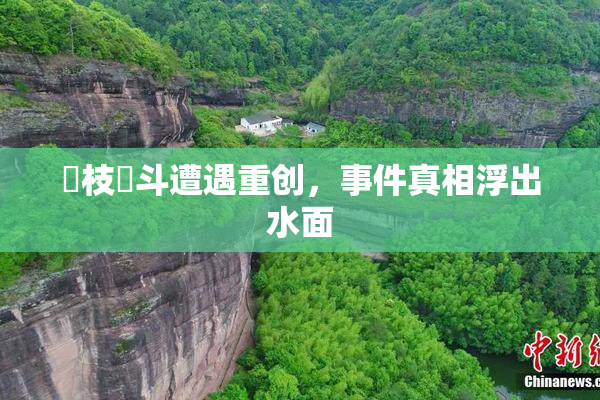 狛枝凪斗遭遇重创，事件真相浮出水面