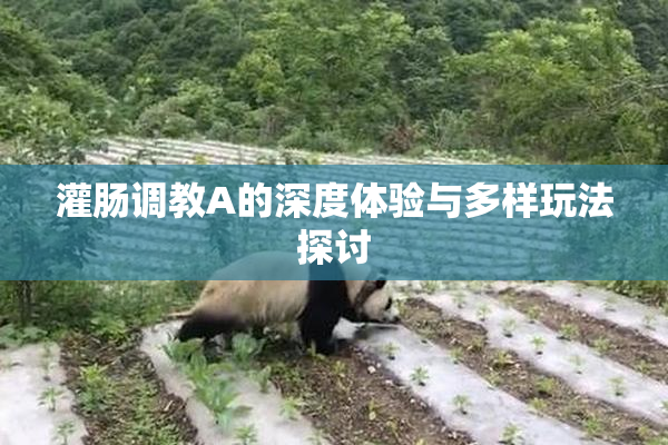 灌肠调教A的深度体验与多样玩法探讨