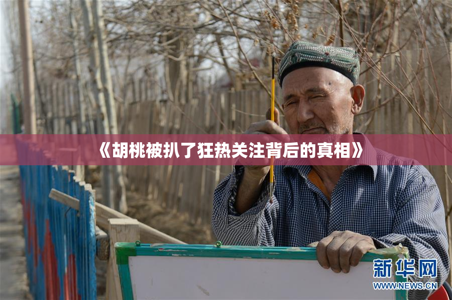 《胡桃被扒了狂热关注背后的真相》