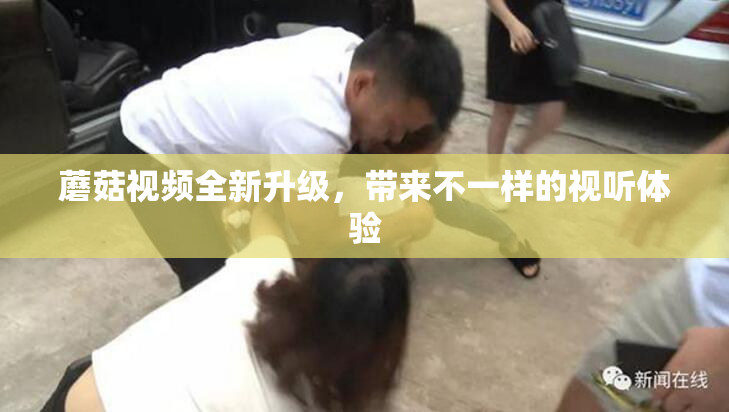 蘑菇视频全新升级，带来不一样的视听体验