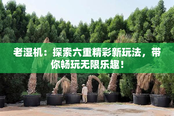 老湿机：探索六重精彩新玩法，带你畅玩无限乐趣！