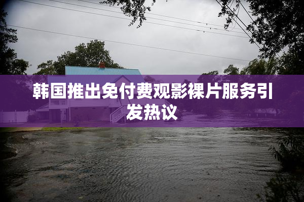 韩国推出免付费观影裸片服务引发热议