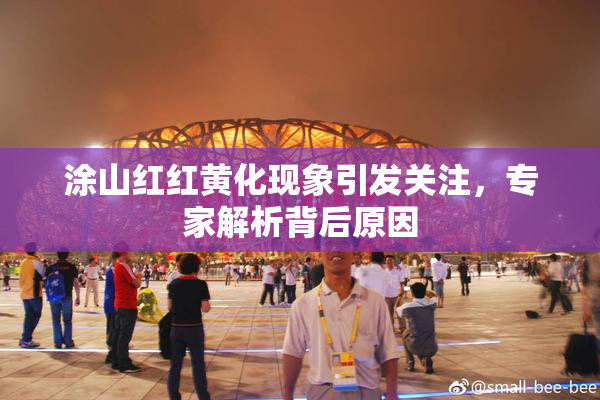 涂山红红黄化现象引发关注，专家解析背后原因