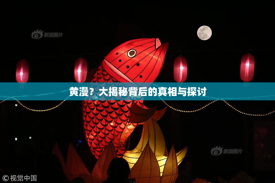 黄漫？大揭秘背后的真相与探讨